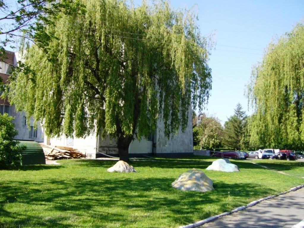 Hotel Profspilkovyi Lutsk Bagian luar foto